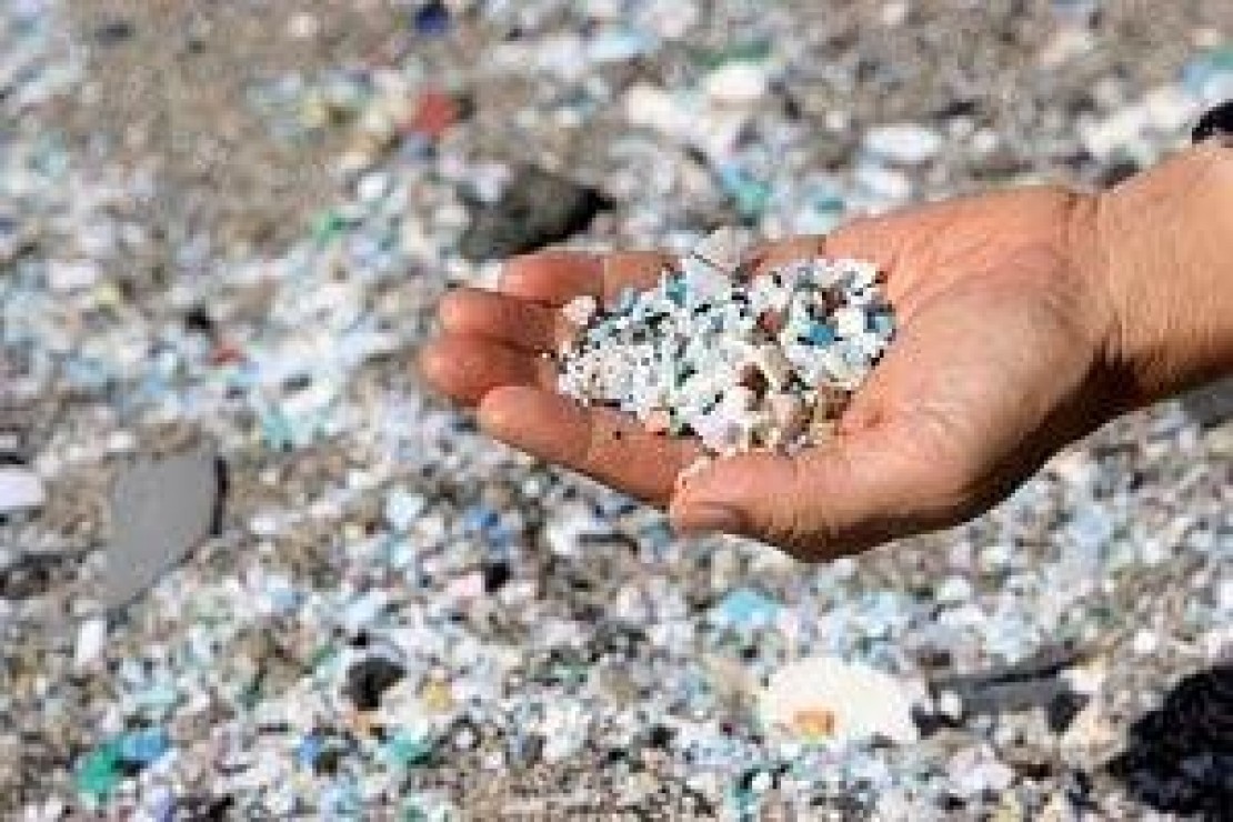 Carlos Coelho preocupado com os efeitos dos microplásticos na vida marinha