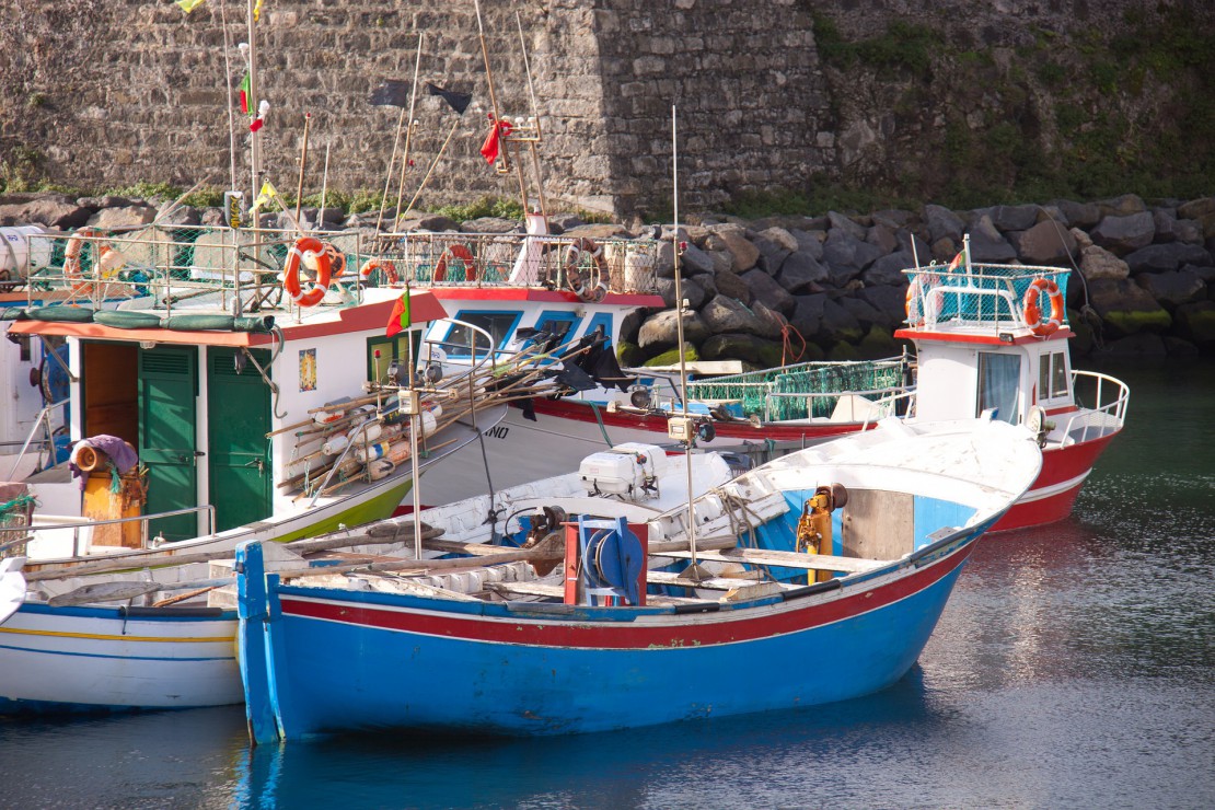 Parlamento Europeu garante início das negociações para o Fundo de Pescas